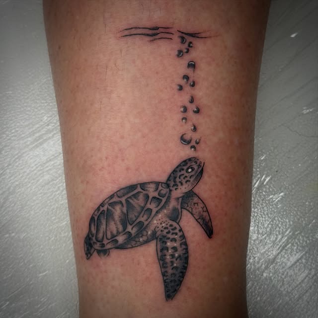 Tortuga marina en black and grey