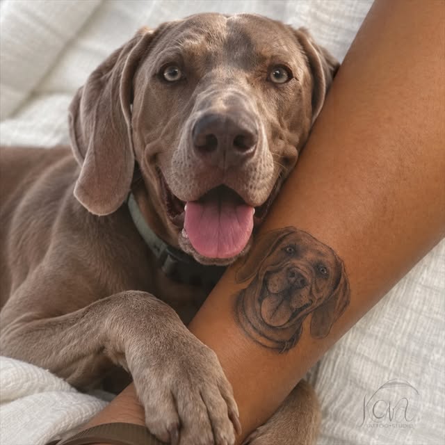 Retrato de perro tatuado en el antebrazo junto al perro real