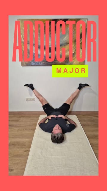 Estirament de l'adductor major