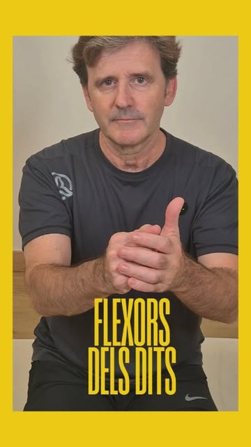 Estirament dels flexors dels dits