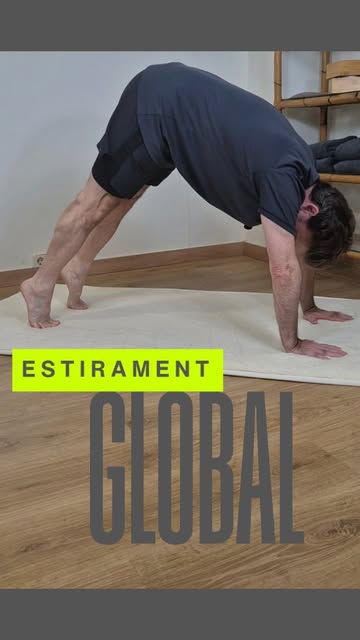 Estirament global